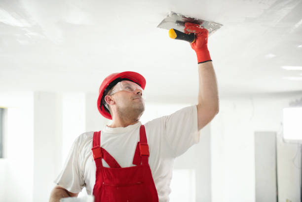 Best Eco-Friendly and Low-VOC Painting  in West Milton, PA